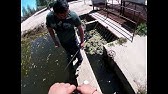 Mendota Slough H Pond Palm Nees Popular Fishing Spots In Fresno Ca Youtube