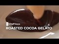 Roasted Cocoa Gelato Recipe • ChefSteps