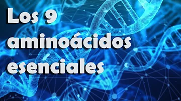 ¿Qué vegetal contiene los nueve aminoácidos esenciales?