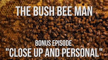 Homemade Observation Bee Hive - The Bush Bee Man
