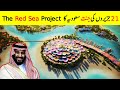 The Red Sea Project Saudia | Neom City The Line And The Red Sea