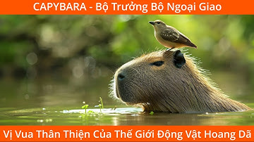 CAPYBARA - Bộ Trưởng Bộ Ngoại Giao - Vị Vua Thân Thiện Của Thế Giới Động Vật Hoang Dã #capybara