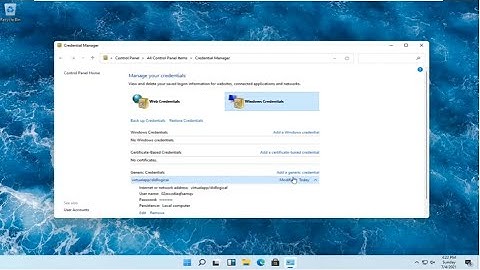 Remove or Update Old Passwords Using Credential Manager in Windows 11 [Tutorial]