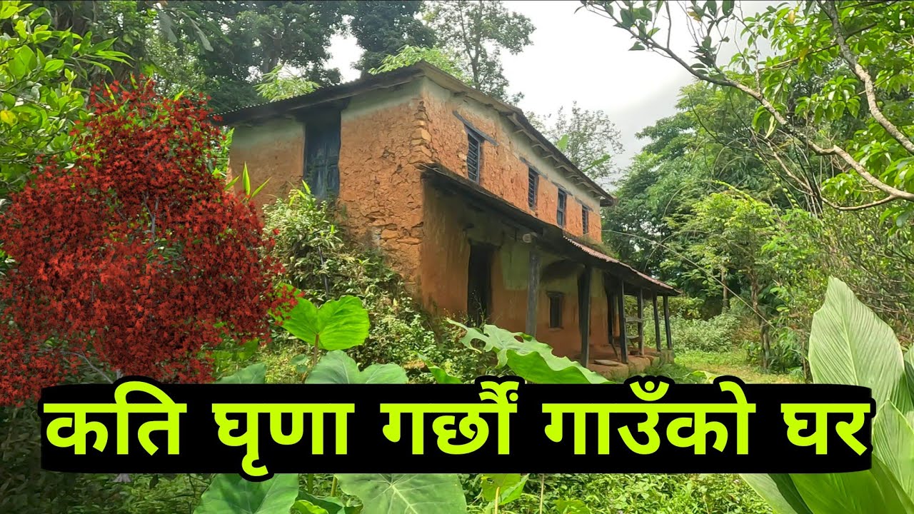 भत्किएको घर कसलाई पाे मन पर्ला है?#nepalivlogger #villagevlog #syangja #abandonedplaces #villagelife