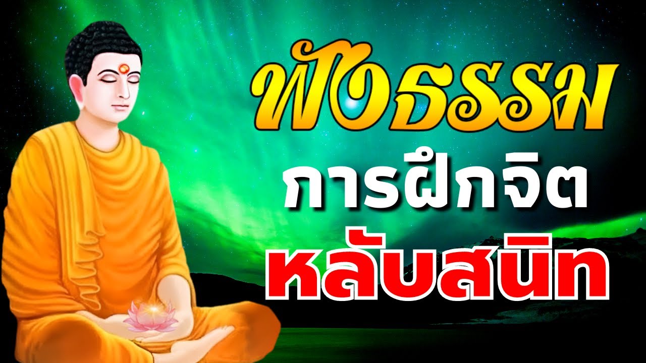 ธรรมะก่อนนอน การฝึกจิต หลับสนิท จิตใจสงบ 🌙🌙 การมีสติ ปัญญา - ฟังธรรมะก่อนนอน Channel