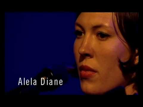 Retour sur: Alela Diane Duo & Divine Comedy solo -...