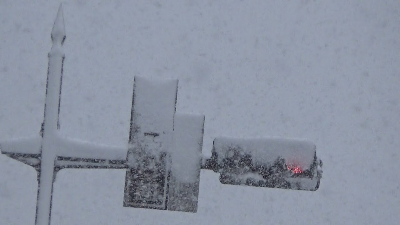 雪 雪で視界の悪い弘前市 信号に着雪も - YouTube