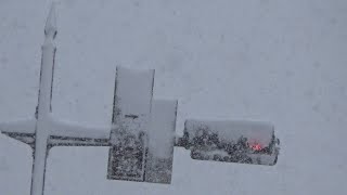 雪で視界の悪い弘前市　信号に着雪も