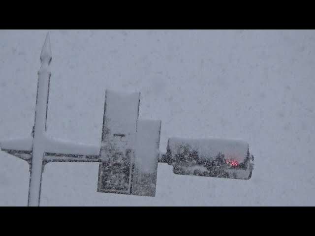 雪で視界の悪い弘前市 信号に着雪も - YouTube