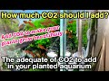 The Adequate Amount Of Co2 To Add In A Planted Aquarium〜The guide of ADA nature aquarium,aquaplants