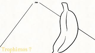 Deltarune chapter 2 : KRIS GET THE BANANA (animation)