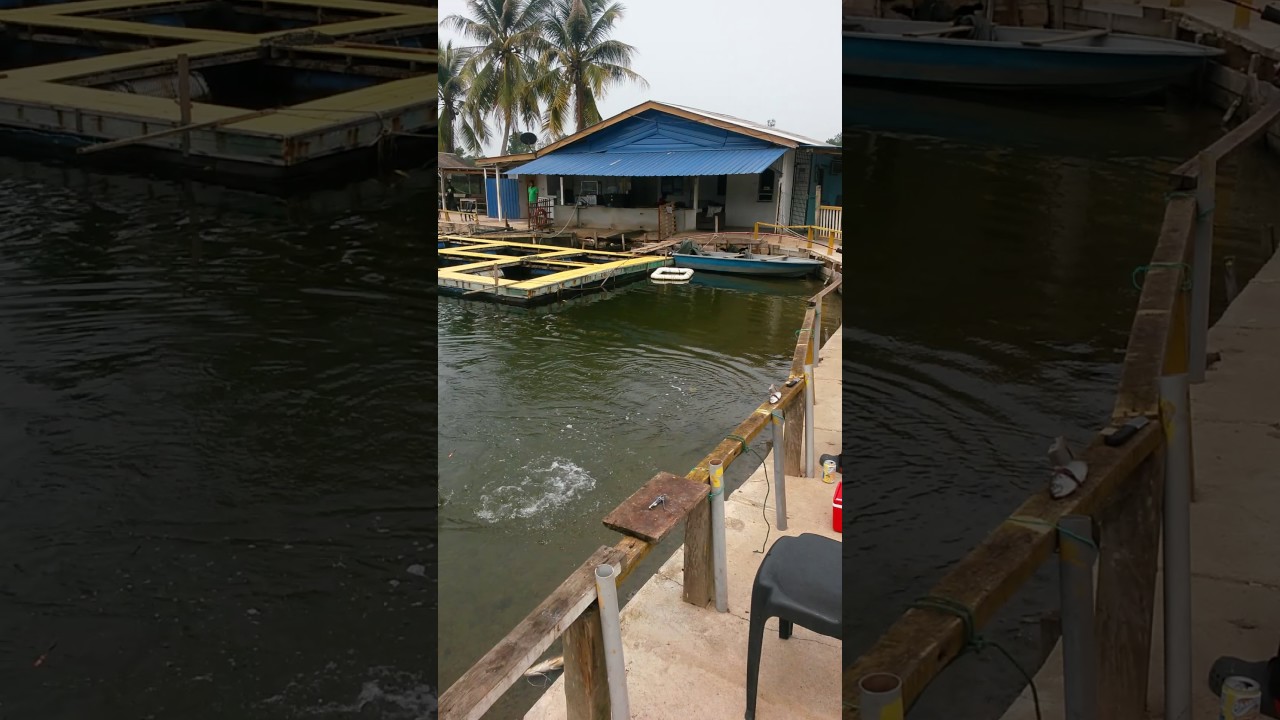 CG.AZRI RAJA KOLAM KUANTAN(2)