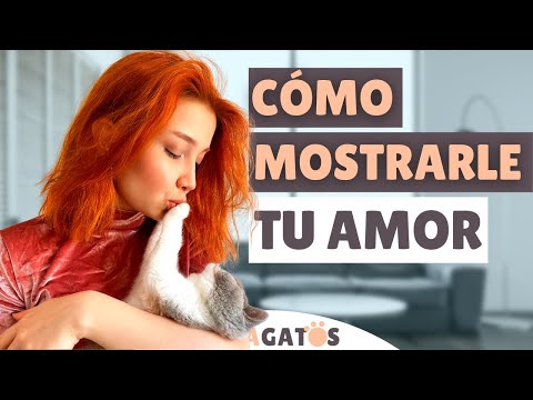 Video: Cómo lidiar con los cambios de humor (mujer): 14 pasos