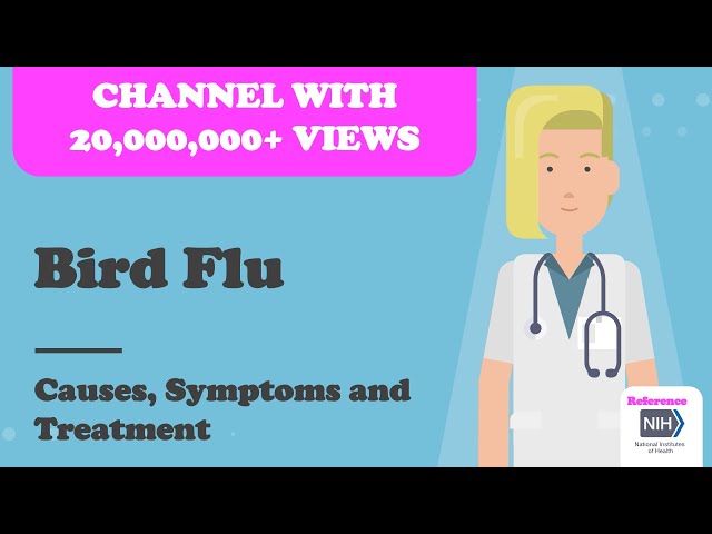 Bird Flu  - Causes, Symptoms and Treatment class=