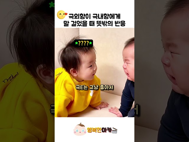 MBTI가 과학인 이유#아기 #귀여운영상 #육아 #힐링 #웃긴영상 #친화력 #기빨림