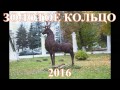 ХУДОЖЕСТВЕННАЯ ГИМНАСТИКА 2016