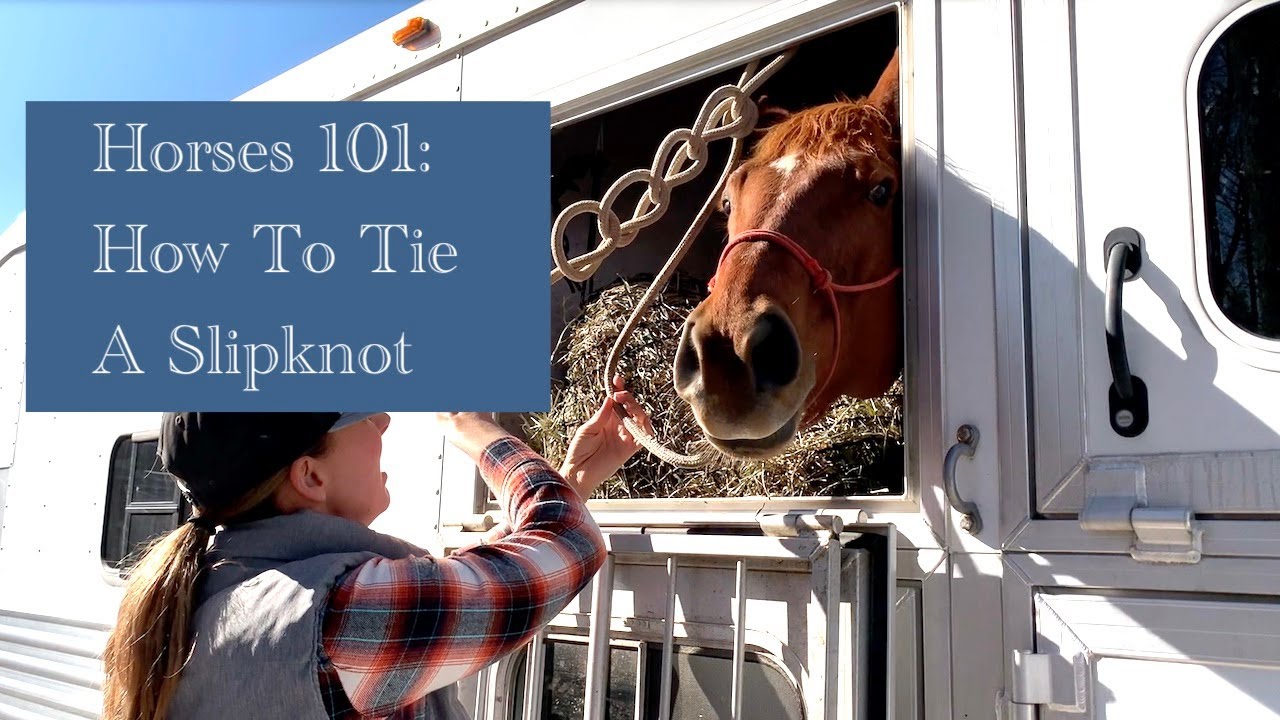 Horses 101 How To Tie A Slipknot YouTube