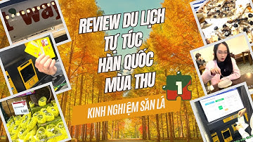 Review Du lịch tự túc Hàn Quốc| Bí kíp săn lá vàng, lá đỏ P1| Review T-way air |Busan-Obuthan vegan🍂
