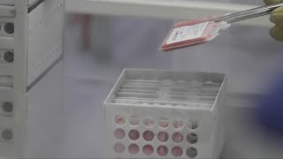 How cryopreservation may help those waiting for organ transplant