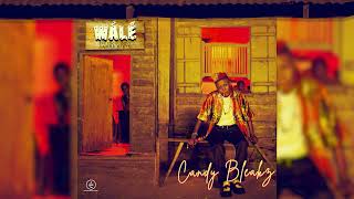 CANDY BLEAKZ- WALE (Official Audio)
