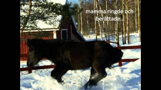 R.i.p Kolfinna Frá Hellishólum And Björk Frá Heimi