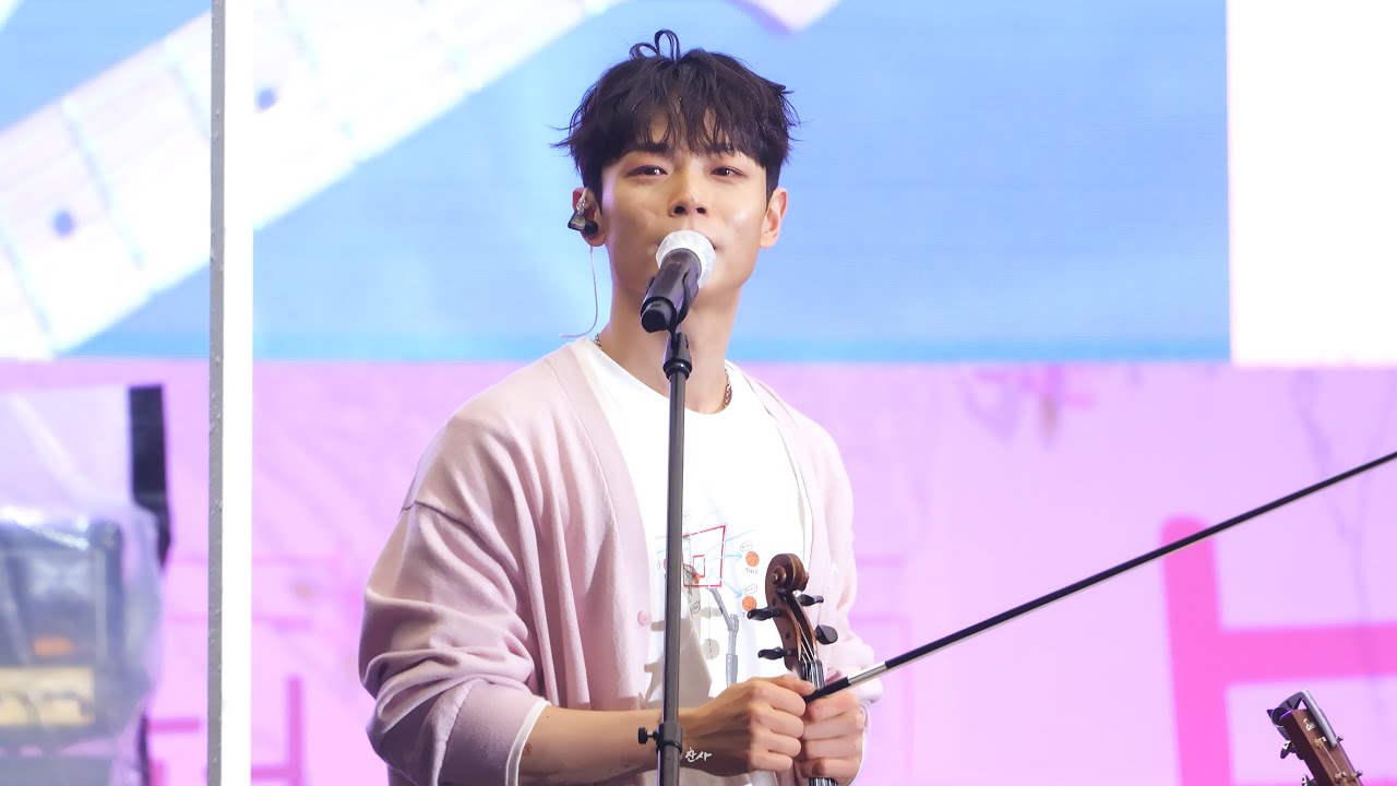 [4K] 250405 불광천 벚꽃축제🌸(w.봄비) LUCY 루시 신예찬 노컷 FULL CAM