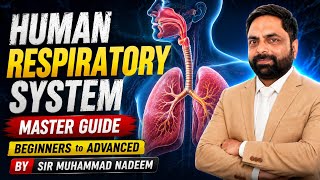 Human respiratory system|master guide|beginners to advanced|by sir Muhammad Nadeem|#asahf