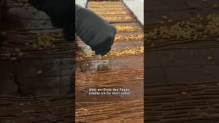 Small Girl. Big Dreams.