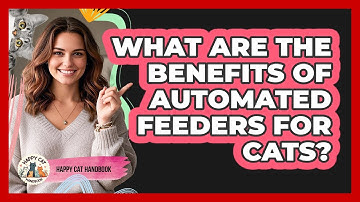 What Are The Benefits Of Automated Feeders For Cats? - Happy Cat Handbook