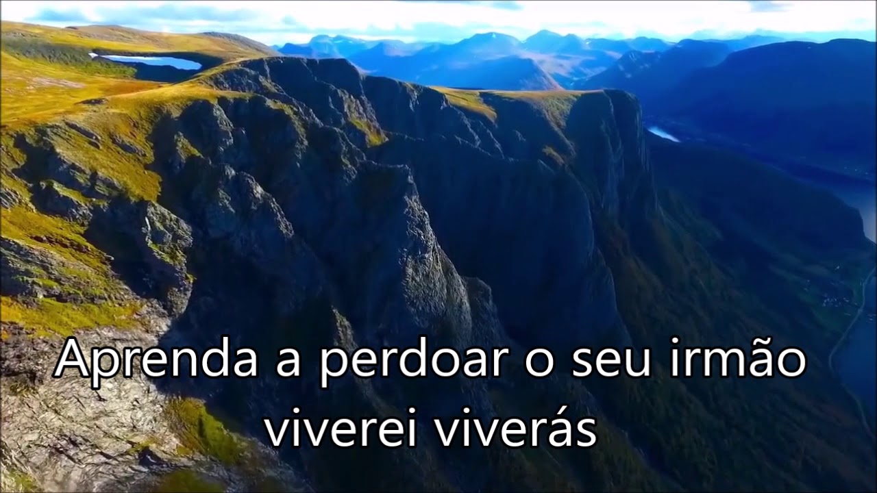 Viverei Viveras  Play Back