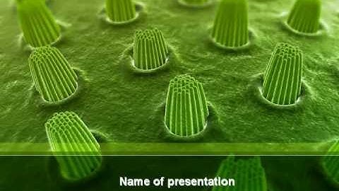 Ear Cells PowerPoint Template by PoweredTemplate.com