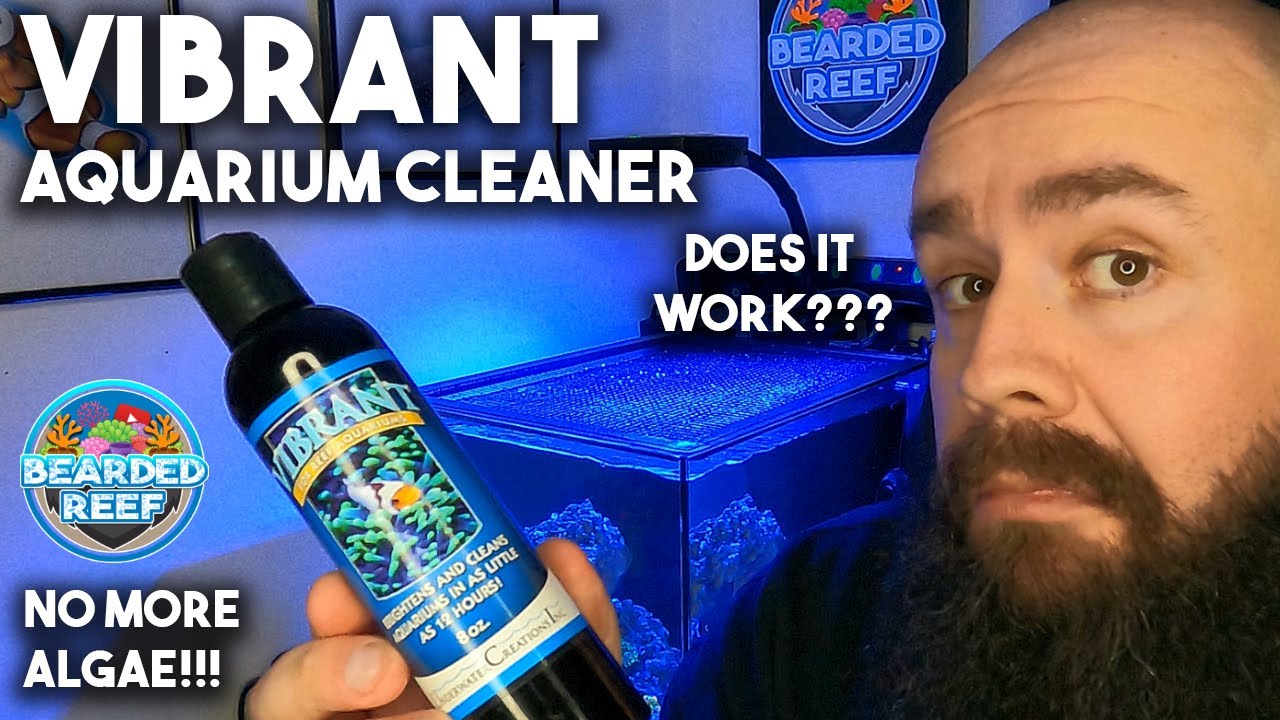 Vibrant Aquarium Cleaner, No More Algae, Does it work in my waterbox