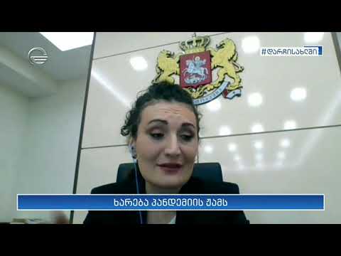 დღის ქრონიკა - 7 აპრილი, 2020 წელი