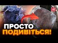 😳Уламки КОРАБЛЯ по ВСЬОМУ МІСТУ! Це ВСЕ, що лишилось від корабля &quot;НОВОЧЕРКАСЬК&quot;