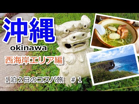 【沖縄vlog】１泊２日でもこんなに回れる!！西海岸エリア観光編［沖縄の旅＃１］