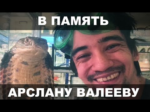 В ПАМЯТЬ АРСЛАНУ ВАЛЕЕВУ!
