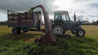 Classic Tractor Heaven! Insane Silage & Tillage Action in Grenagh – You Won't Believe This!