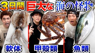 【3日間】『カニvsイカvsブリ』巨大な”軟体 甲殻類 魚類