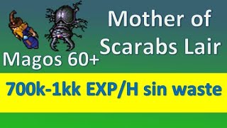 Famous Tibia Guia MS/ED 60+ - Mother of Scarabs Lair 700k-1kk exp/h sin waste Profile