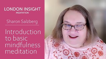 Sharon Salzberg - Introduction to basic mindfulness meditation