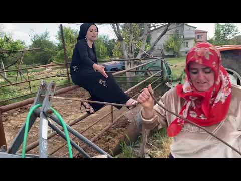 YAPRAK ZAMANI -sarma