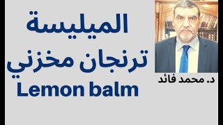 الدكتور محمد فائد  || الميليسا  أو الترنجان المخزني : النعناع الصوفي