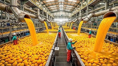 Inside a Modern Mango Factory 🥭 From Farm to Perfect Mango Slices — FULL Processing Line Revealed!