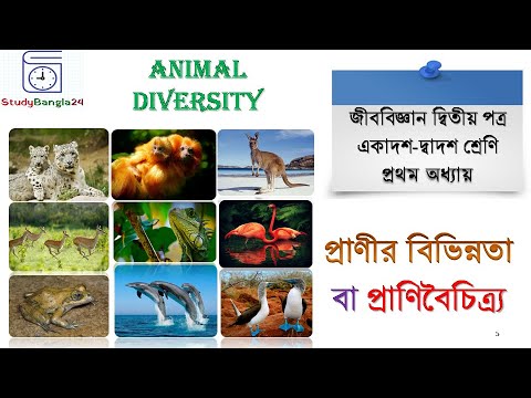 Animal Diversity | প্রাণিবৈচিত্র্য | প্রাণীর বিভিন্নতা