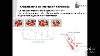 Clase 5: purificación de proteínas Clase 5: purificación de proteínas