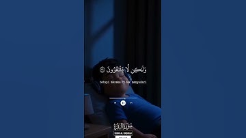 قران الكريم راحة نفسية😴❤️#سورة_البقرة #قران_كريم #راحة_نفسية #ارح_سمعك #ارح_قلبك #اكتب_شي_تؤجر_عليه