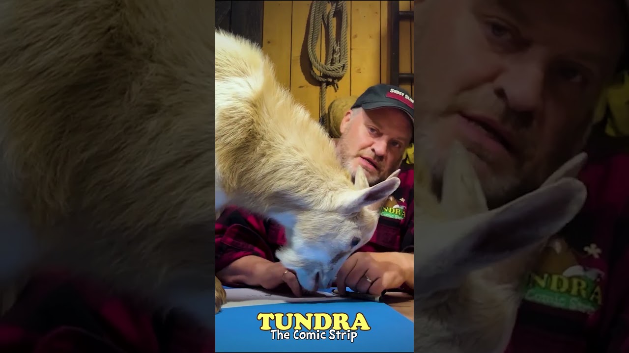 Wait…a Cartoonist Podcast in a Goat Barn?  