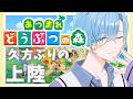 【 あつまれどうぶつの森 】人里を離れていくゥ【 篠宮ゆの / すぷれあ / にじさんじ 】
