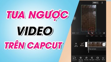 Cách tua ngược video trên CapCut cực đơn giản chỉ với vài bước