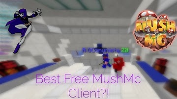 RavenBFun is The best Free Client for MushMC?! | Hacking on MushMC Bedwars ft.bfun (GOES WRONG)!!!!!